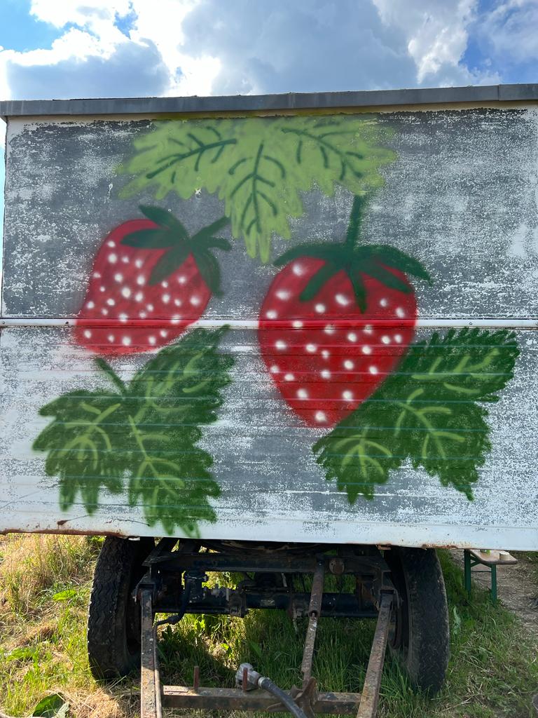 Nahaufnahme eines Traktoranhängers mit aufgemalten Erdbeeren